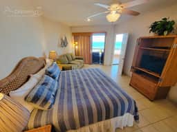 Sonoran Spa E505